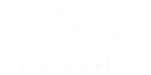 1064-hunkemoller-white