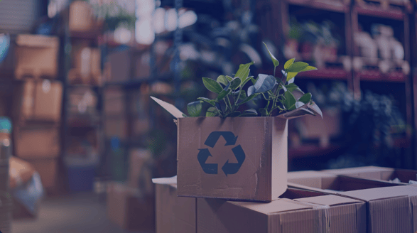 sustainable shopping