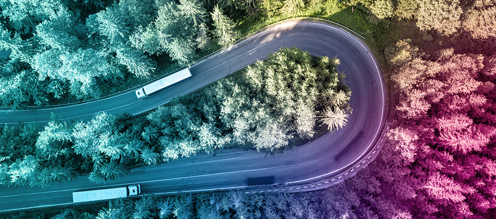aerial-view-winding-road-high-mountain-pass-trough-dense-green-pine-woods NL invite-small