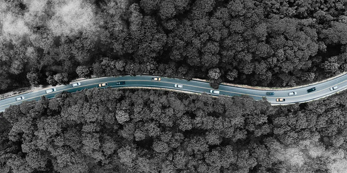 How to use data for carbon emissions reporting