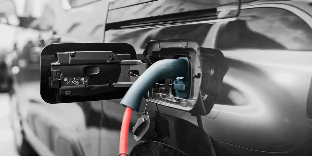 Sustainability that pays. Practical moves for peak 2025