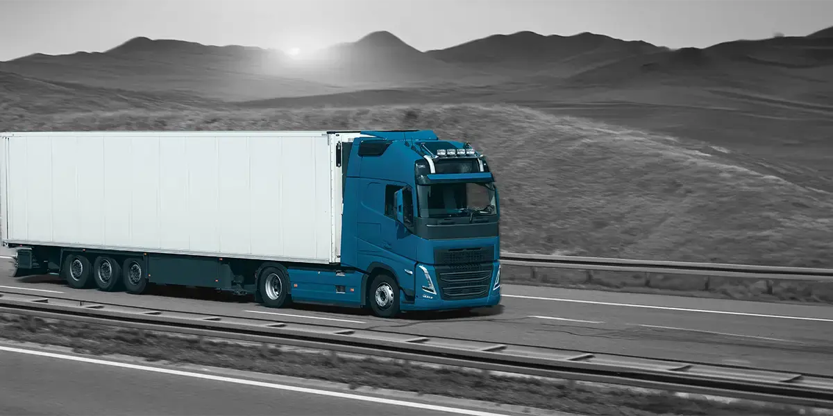 Grow beyond borders with multi carrier shipping software