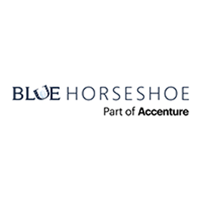 Blue Horseshoe Solutions, Inc.